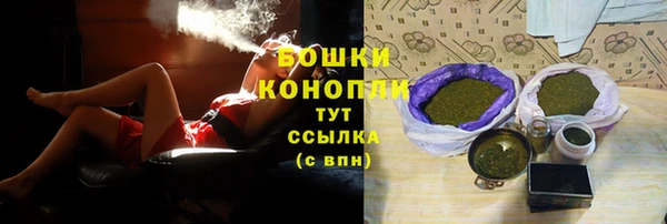 мдпв Медногорск